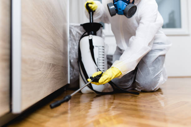 Best Affordable Pest Control Services  in Mount Pleasant, IA