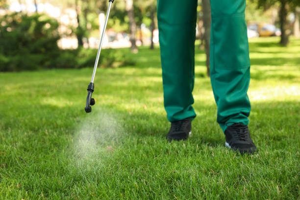 Best Termite Control Services  in Mount Pleasant, IA