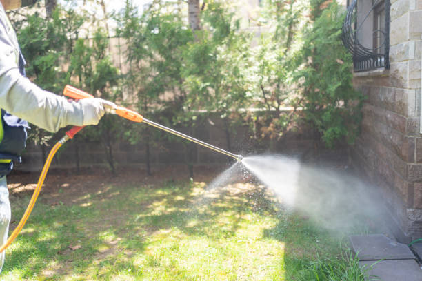 Best Flea Control Services  in Mount Pleasant, IA