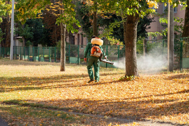 Best Wasp Removal Services  in Mount Pleasant, IA