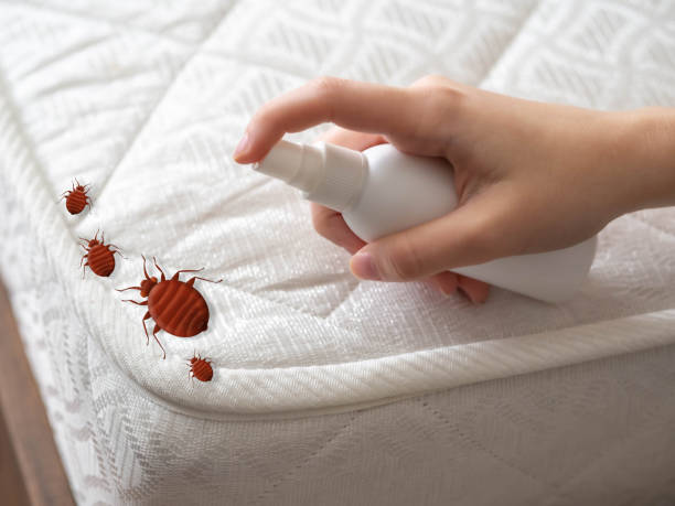 Best Pest Prevention Services  in Mount Pleasant, IA
