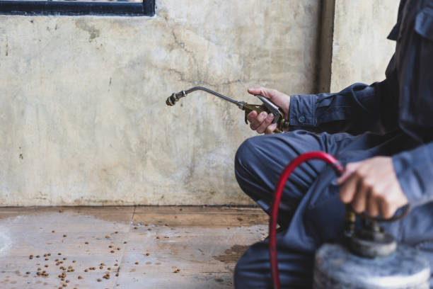 Best Affordable Pest Control Services  in Mount Pleasant, IA