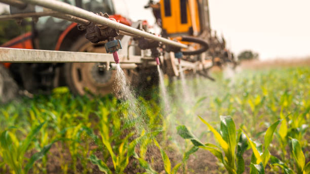 Best Commercial Pest Control Services  in Mount Pleasant, IA